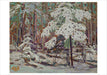 The Group of Seven Boxed Holiday Card Assortment    