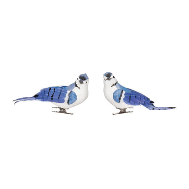 Blue Jay Clip on Ornament - (Single) Various Styles