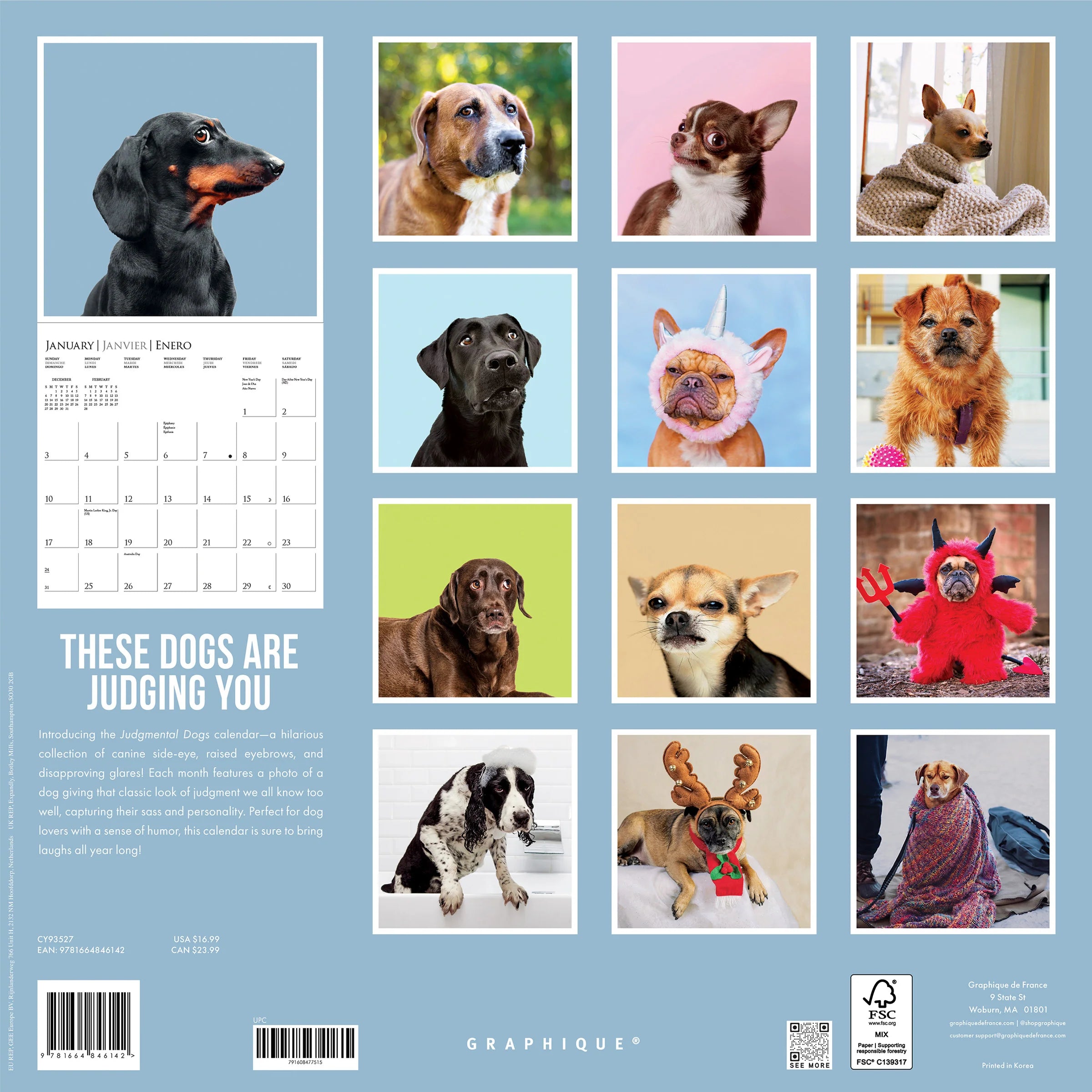 GRPH Judgmental Dogs 2027 Wall Calendar