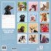 GRPH Judgmental Dogs 2027 Wall Calendar