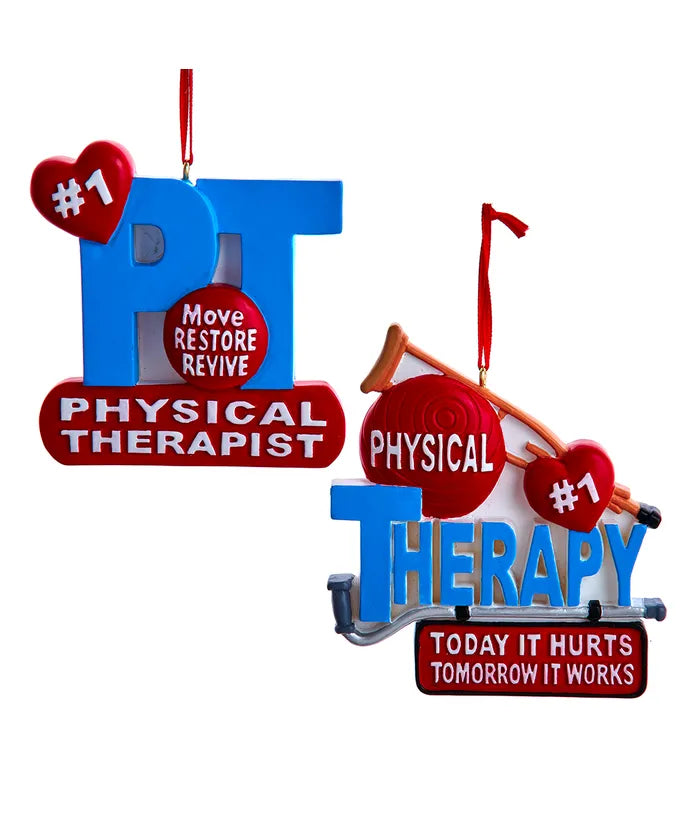 Physical Therapist Ornament (Single) - Random Style