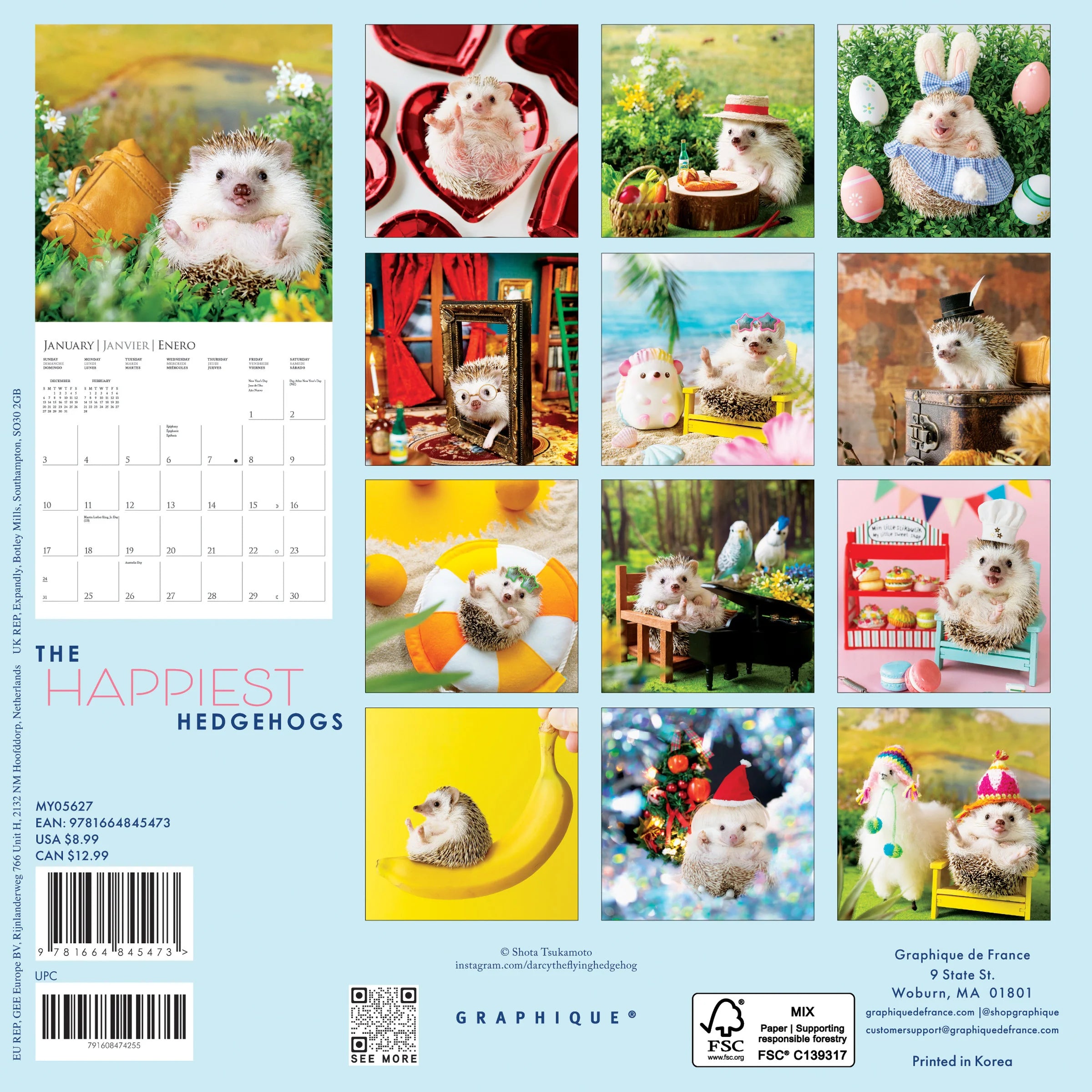 GRPH The Happiest Hedgehogs 2027 Mini Wall Calendar