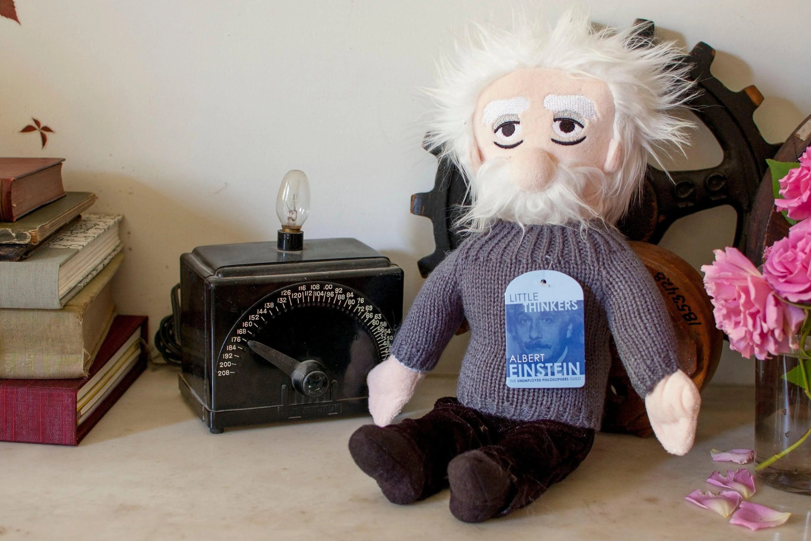 Little Thinkers - Albert Einstein