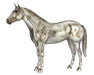 BRYR AQHA | 85th Anniversary Best Remuda