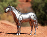 BRYR AQHA | 85th Anniversary Best Remuda