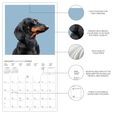 Judgmental Dogs 2027 Wall Calendar