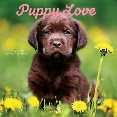 Puppy Love 2027 Wall Calendar