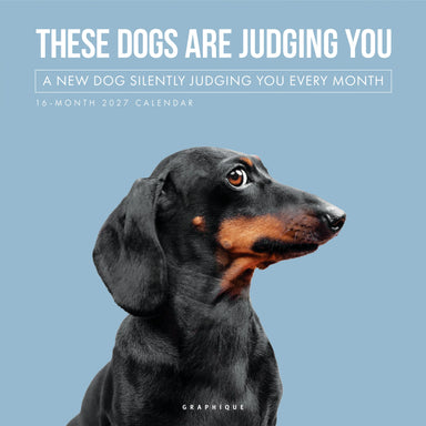 Judgmental Dogs 2027 Wall Calendar