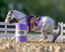 BRYR Barrel Racing Set