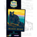 MSTR Black Bear Paint-by-Number Kit