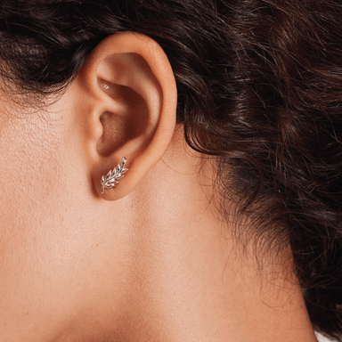Boma Sterling Silver Leaf Ear Crawlers Post Earrings