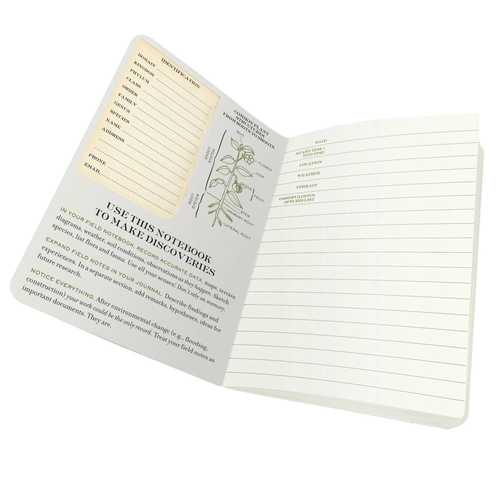 Botany - A Naturalist's Notebook