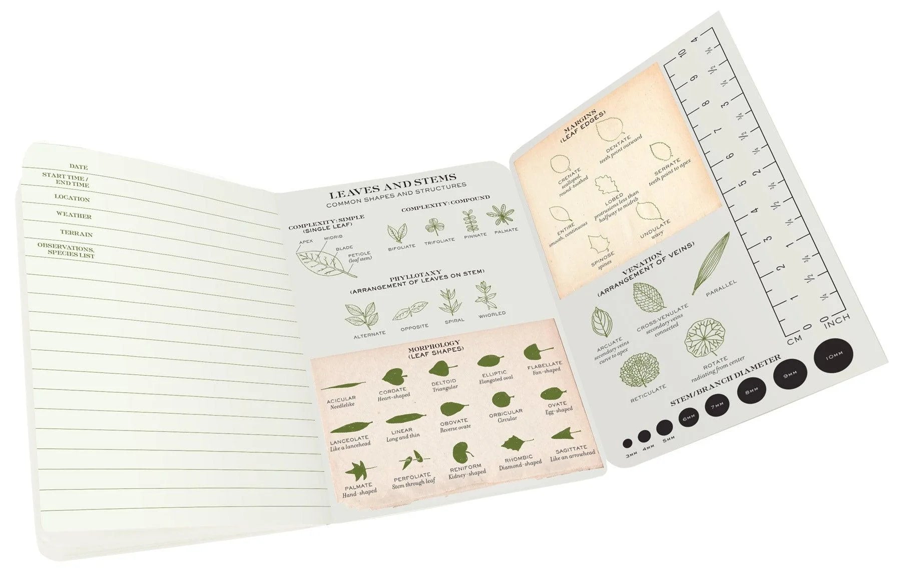 Botany - A Naturalist's Notebook