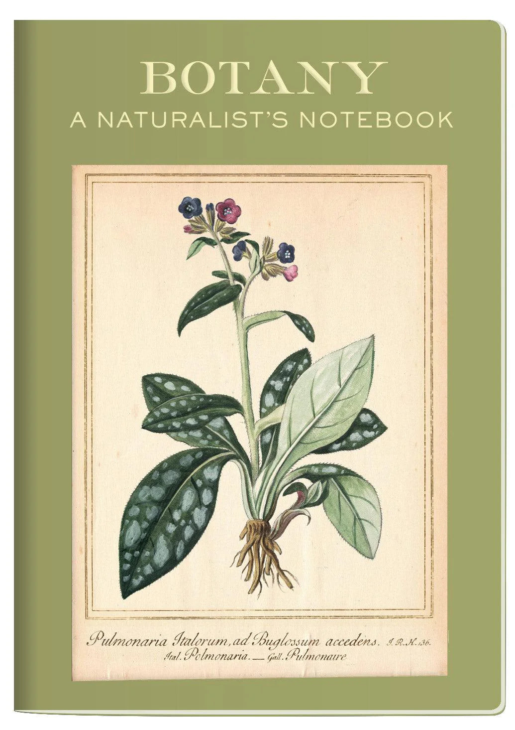 Botany - A Naturalist's Notebook