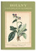 Botany - A Naturalist's Notebook