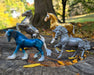 Breyer Horses Brilliance Gift Set - 75th Anniversary Limited Edition