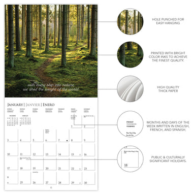 Into the Woods 2027 Wall Calendar