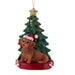 Red Dachshund With Christmas Tree Ornament