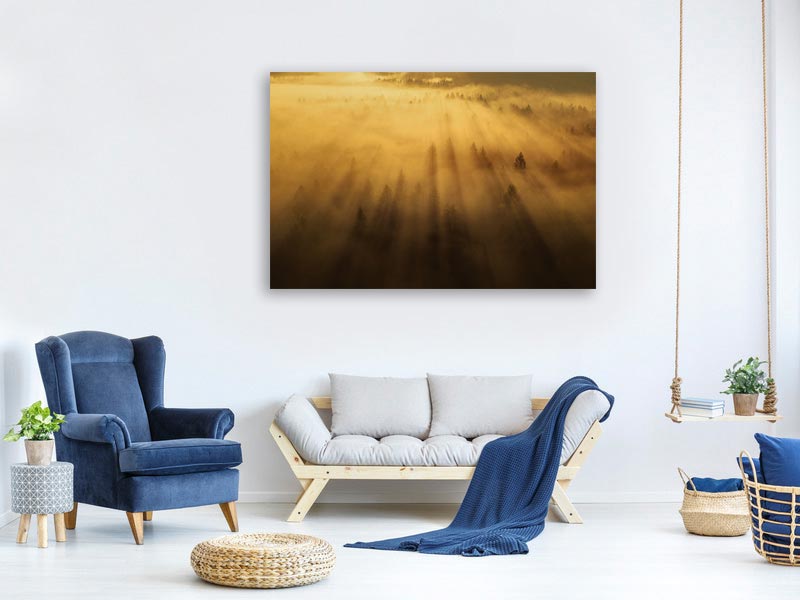 canvas-print-morning-in-the-forest-xil