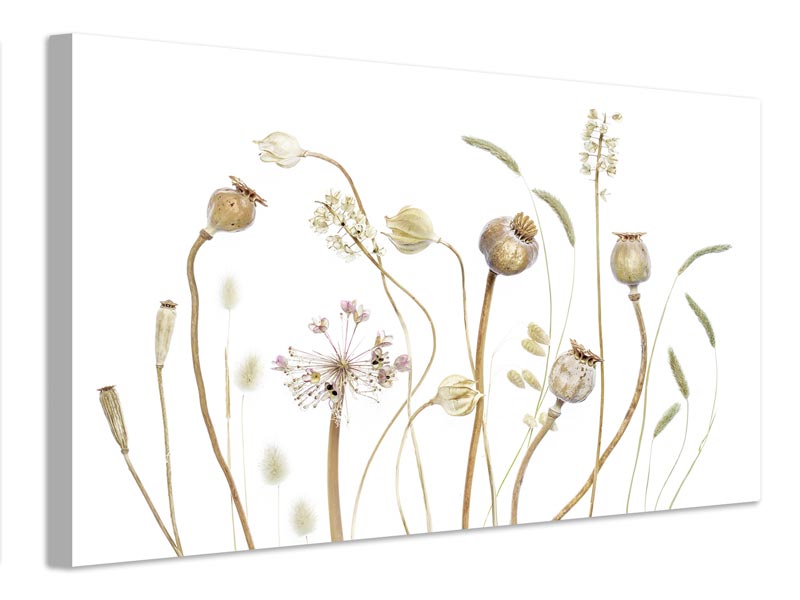 canvas-print-pods-x