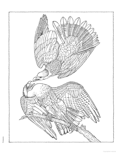 DVR Creative Haven® Coloring Book: Audubon Birds