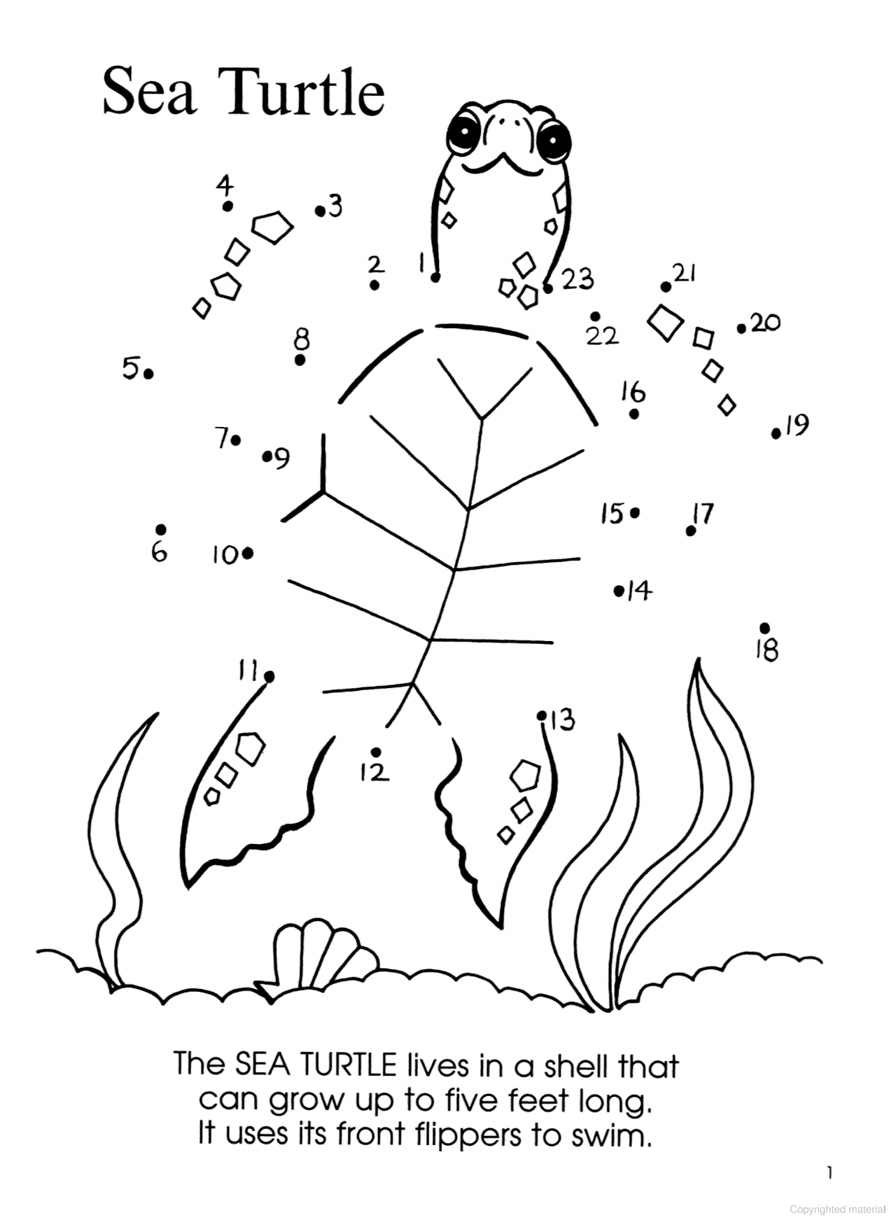 Dot-to-Dot Sea Life