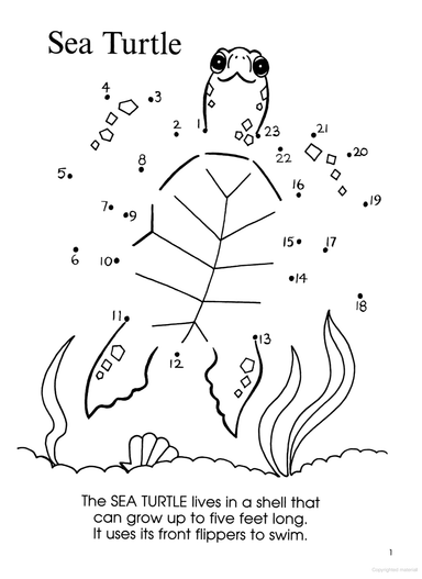 Dot-to-Dot Sea Life