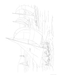 Nautical Scenes to Paint or Color