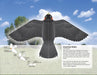 DVR Fantastic Press-Out Flying Birds