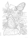 DVR Creative Haven® Coloring Book: Butterfly Gardens