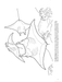 DVR Great Barrier Reef Coloring Book