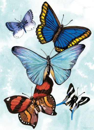 DVR Butterfly Blank Notebook