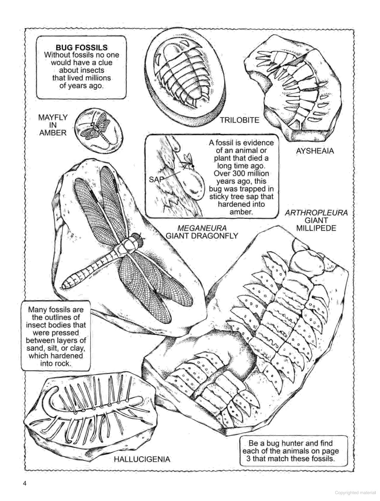 My First Book About Bugs - Coloring Book