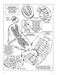 My First Book About Bugs - Coloring Book