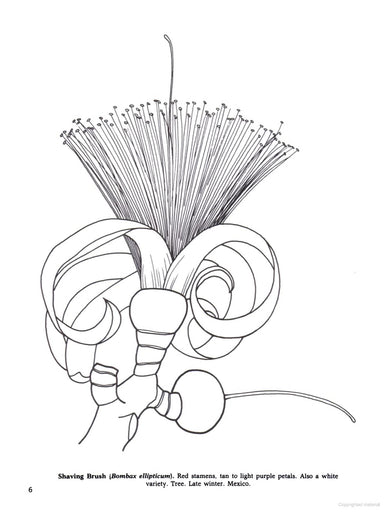 Tropical Flowers of the World Coloring Book