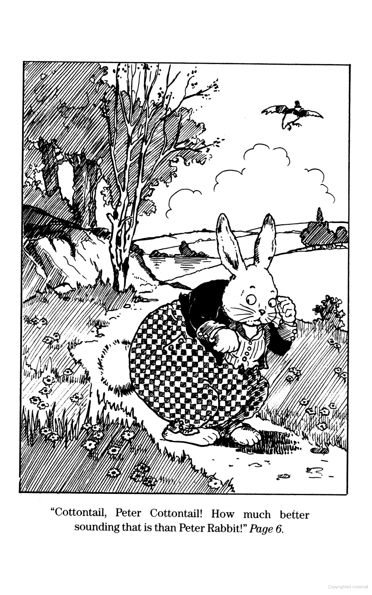 DVR The Adventures of Peter Cottontail