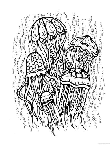 Creative Haven® Coloring Book Deluxe Edition: Magical SeaScapes