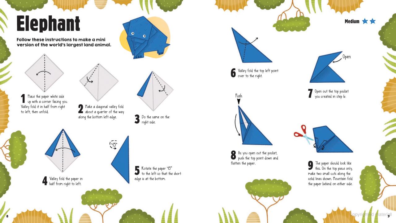 DVR Origami Safari