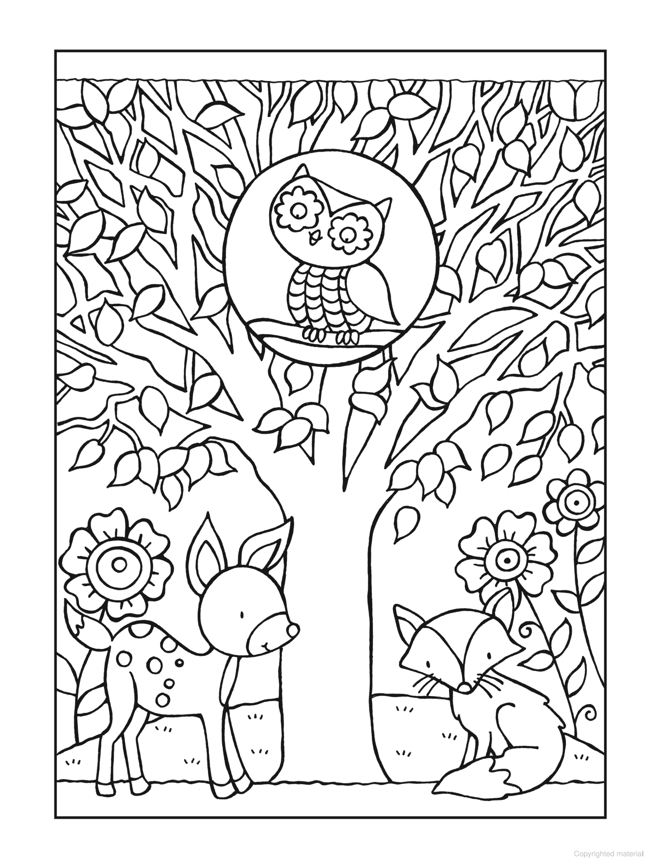 DVR Owls - SPARK Coloring Book