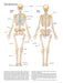 Human Anatomy in Full Color