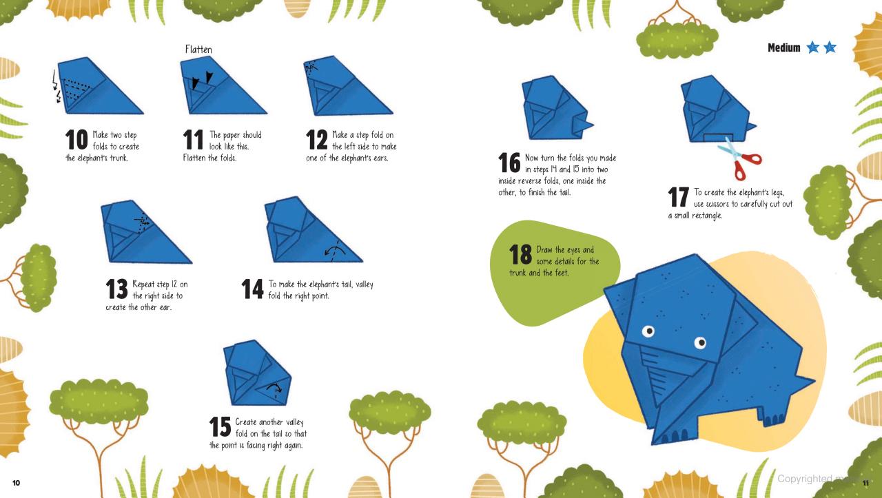DVR Origami Safari