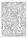 DVR Paisley Designs Coloring Book