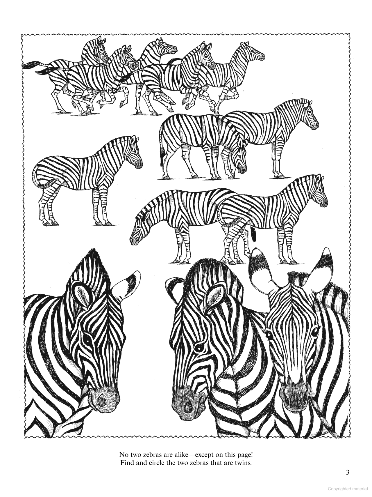 DVR Wild Animals Activity Book