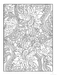 DVR Paisley Designs Coloring Book