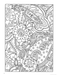 DVR Paisley Designs Coloring Book