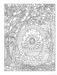 DVR Creative Haven® Coloring Book: Entangled Forest
