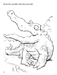 What to Doodle? Amazing Animals!