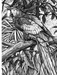 Creative Haven® Coloring Book: Woodcut Designs