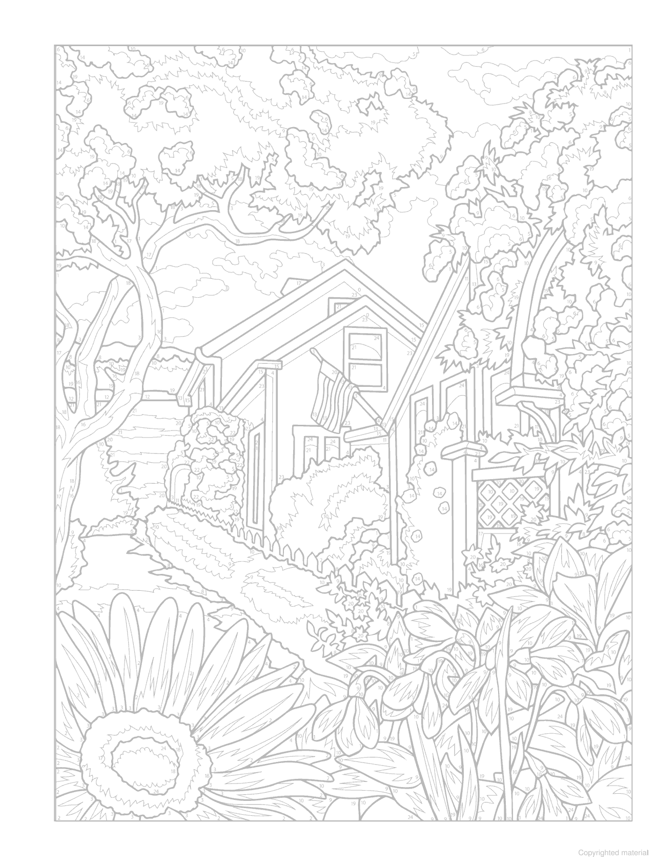 DVR Creative Haven® Color-by-Number: Endless Summer