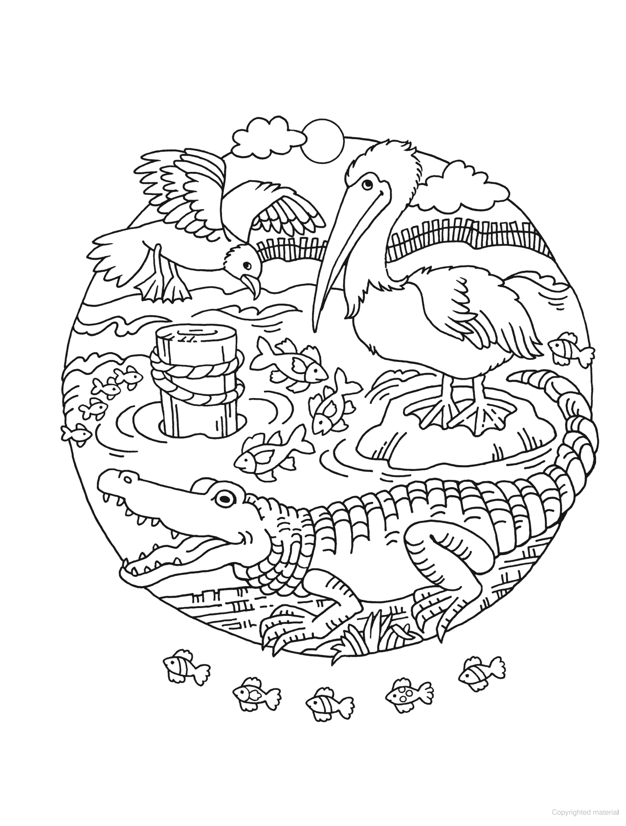 DVR Spark Coloring Book: Circles of Fun Animals